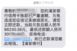 西吉西吉的要账公司在催收过程中的策略和技巧有哪些？